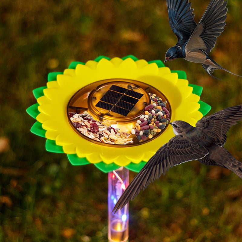 Solar-bird feeder lights