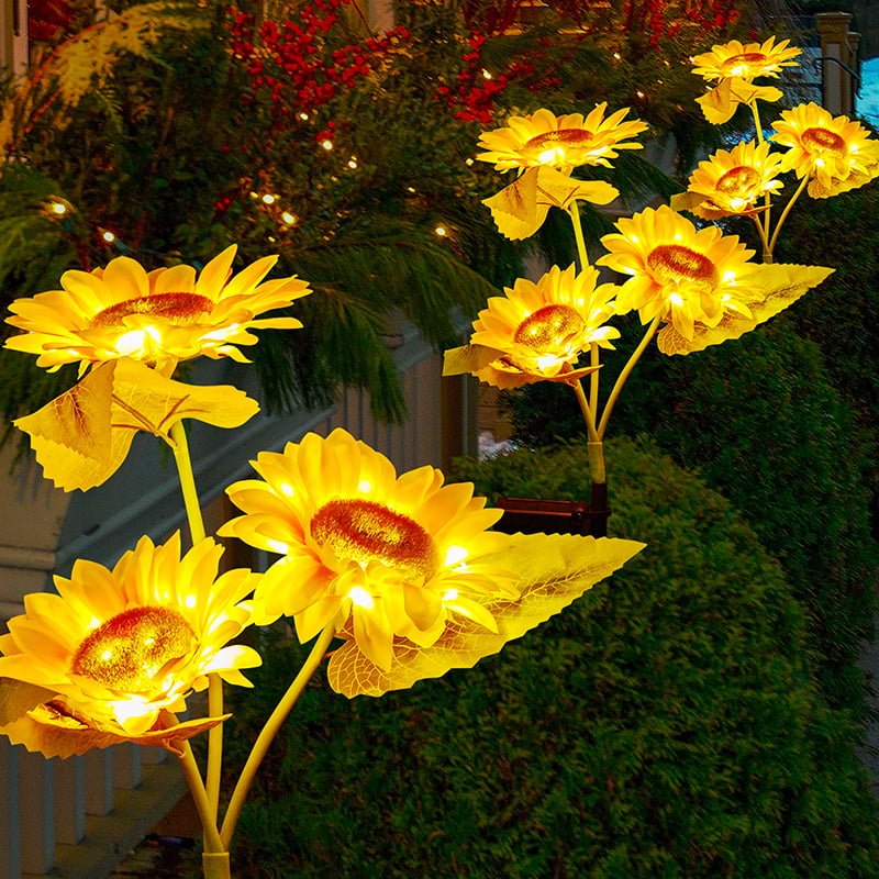 sunflower light