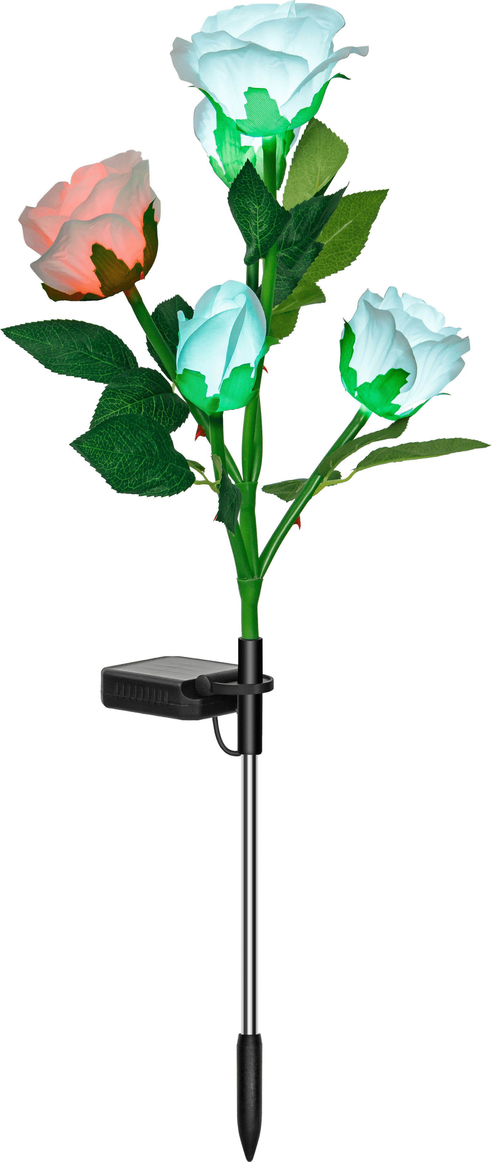 Solar-powered rose lights along the garden path